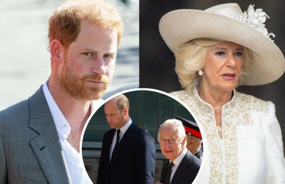 Prince Harry Walks Back 'Villain' Claim About Queen Camilla & Reveals If He’d Ever Return To Royal Family In GMA Interview!