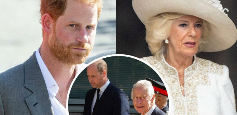 Prince Harry Walks Back 'Villain' Claim About Queen Camilla & Reveals If He’d Ever Return To Royal Family In GMA Interview!