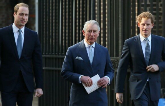 Prince Harry and William ‘Begged’ King Charles Not to Marry Camilla After Princess Diana’s Death