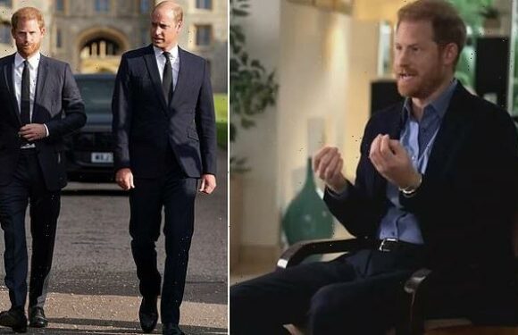 Prince Harry brands Prince William his 'ARCH-NEMESIS' in new book