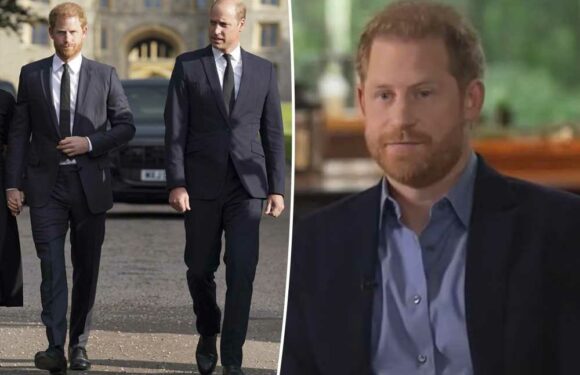Prince Harry calls Prince William his archnemesis in Spare memoir