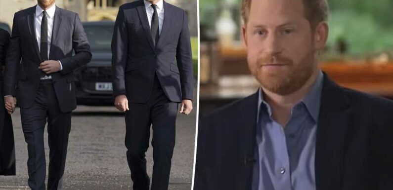 Prince Harry calls Prince William his archnemesis in Spare memoir