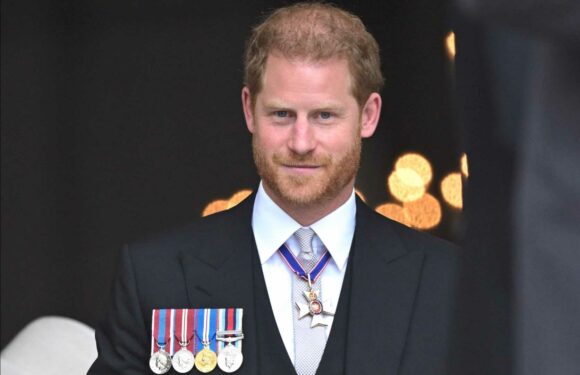 Prince Harry wanted to ditch his memoir after visiting the UK for the Queen’s Platinum Jubilee | The Sun