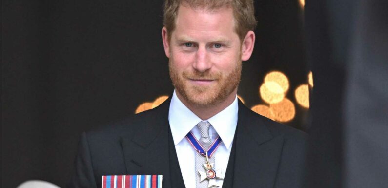 Prince Harry wanted to ditch his memoir after visiting the UK for the Queen’s Platinum Jubilee | The Sun