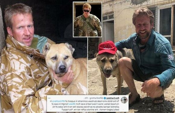 Prince Harry's confession to killing Taliban put ex-military in danger
