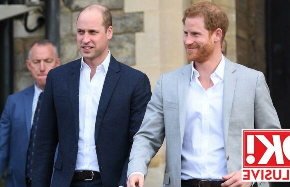 Prince Willam has ‘lost his support act in Harry’, says royal expert