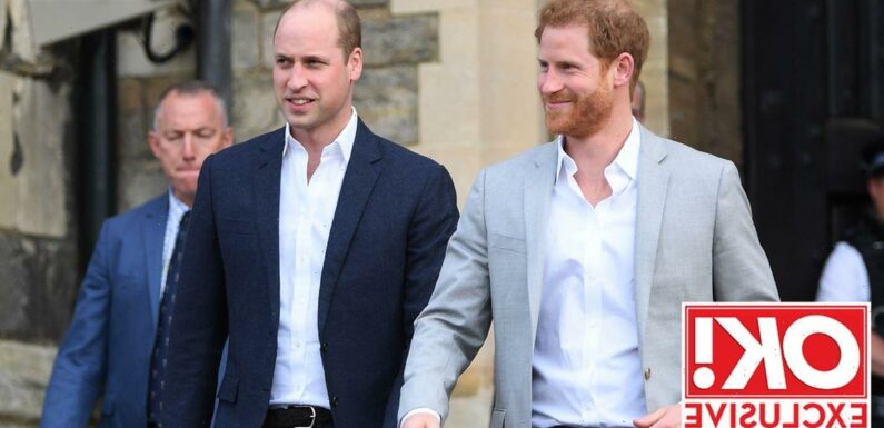 Prince Willam has ‘lost his support act in Harry’, says royal expert