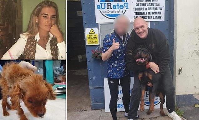 Probe into 'puppy farm' being run from house owned by Tyson Fury