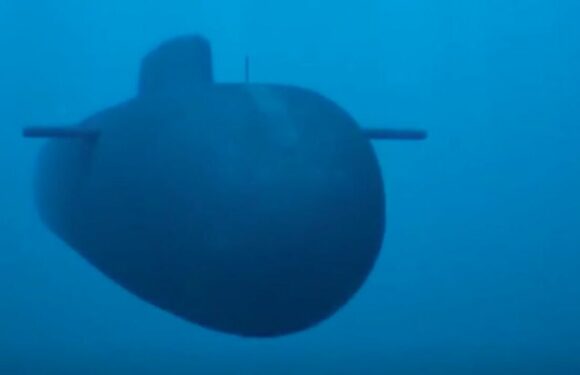 Putin’s Poseidon nuclear torpedoes ‘may not be ready’