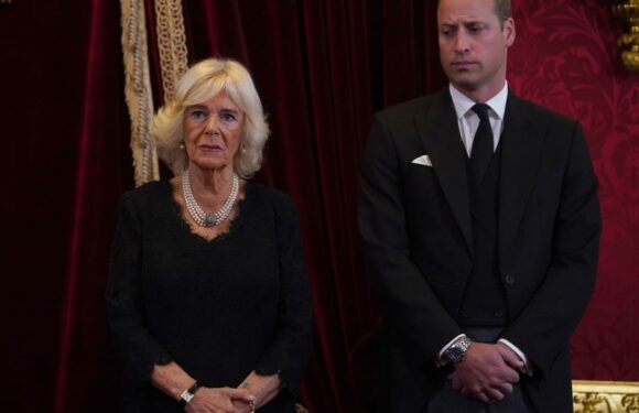 Queen Camilla & William believe Harry has been kidnapped by psychotherapists