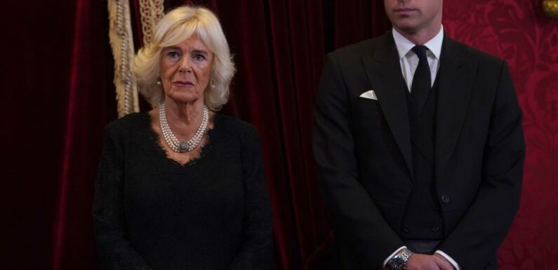 Queen Camilla & William believe Harry has been kidnapped by psychotherapists