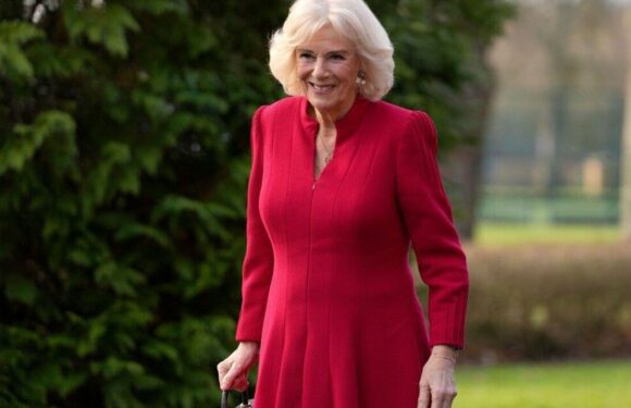 Queen Camilla looking absolutely to die for in pink today
