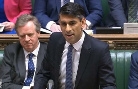 Rishi Sunak reveals he HAS used private healthcare 'in the past'