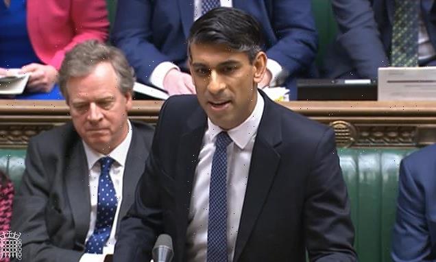 Rishi Sunak reveals he HAS used private healthcare 'in the past'