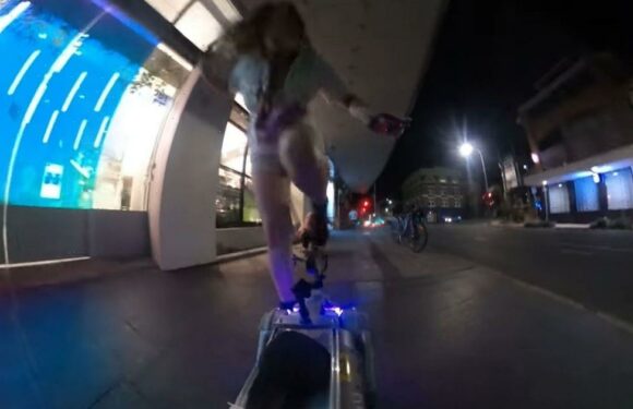 Robot dog owner offers reward to track down woman who kicked his £8k pet