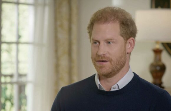 Royal fans are saying the same thing after Prince Harry moans about shopping in TK Maxx and buying IKEA lamp | The Sun