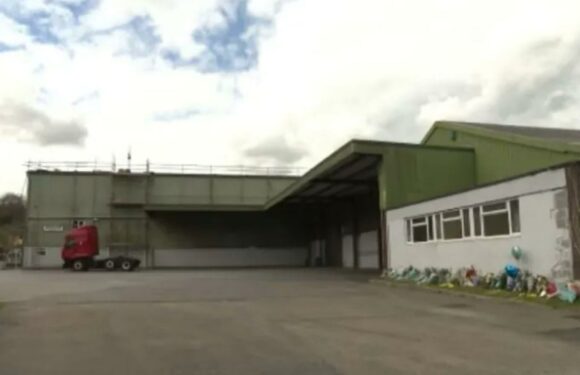 Schoolboy, 13, plunged to his death through moss-covered skylight at warehouse as horrified friends watched on | The Sun