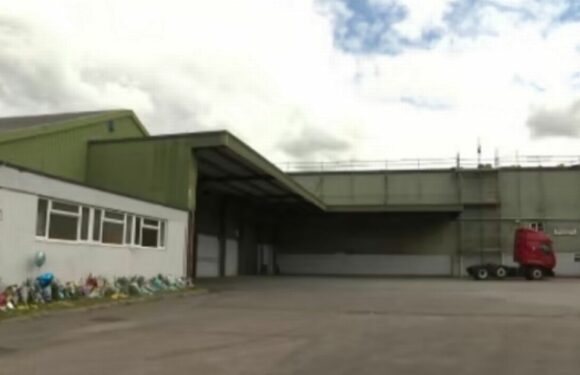 Schoolboy plunges to death through ‘fragile and leaking’ warehouse roof