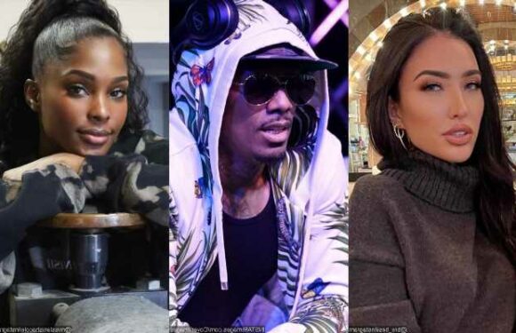 See Bre Tiesis Response to Being Confused With Nick Cannons Other Baby Mama