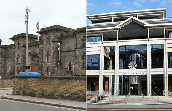 Serving Met PC admits tying up woman with duct tape