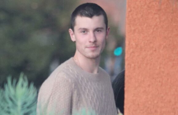 Shawn Mendes & a Friend Grab Lunch in L.A.