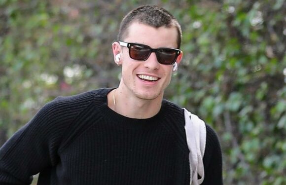 Shawn Mendes Shows Off His Freshly Buzzed Head During Grocery Run