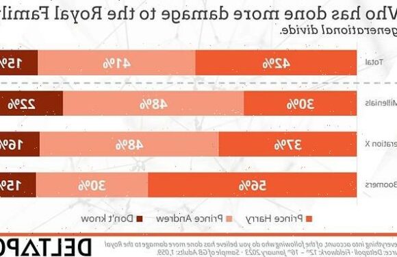 Slim majority of Brits think Harry has damaged royals more than Andrew