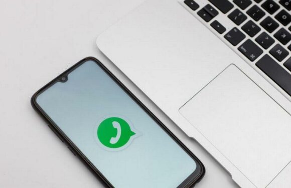 Sneaky WhatsApp tricks let you read messages on app ‘without anyone knowing’