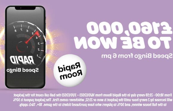 Sun Bingo’s Rapid Room Escalator games guarantee a jackpot win | The Sun
