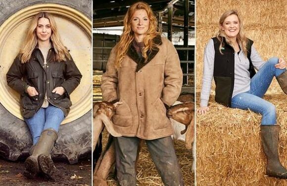 Swapping city jobs for fields – the women making farming fashionable