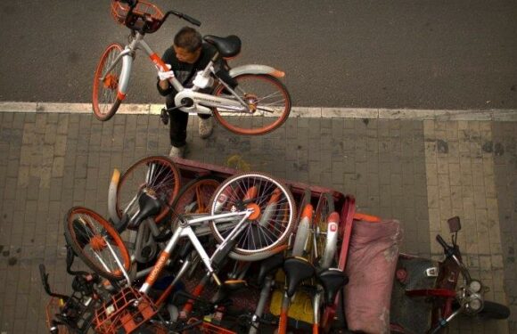 Taken for a ride: A tale of two share-bike cities