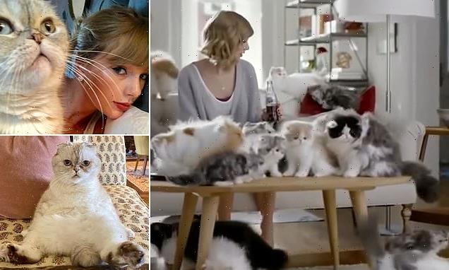 Taylor Swift's cat is the world's third richest pet worth $97m