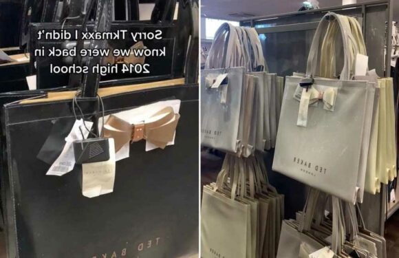 Ted Baker tote bags being sold in TKMaxx for a fraction of the price but shoppers all have same hilarious complaint | The Sun