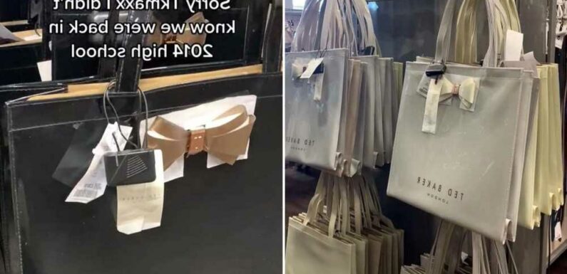 Ted Baker tote bags being sold in TKMaxx for a fraction of the price but shoppers all have same hilarious complaint | The Sun