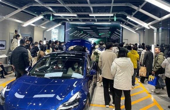 Tesla buyers storm showrooms in China after surprise price cuts