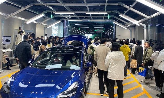 Tesla buyers storm showrooms in China after surprise price cuts