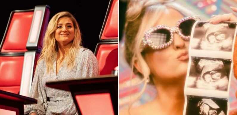 The Voice UK judge Meghan Trainor reveals she's pregnant with second child | The Sun