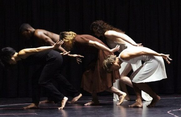 The passionate work that challenges you to feel something