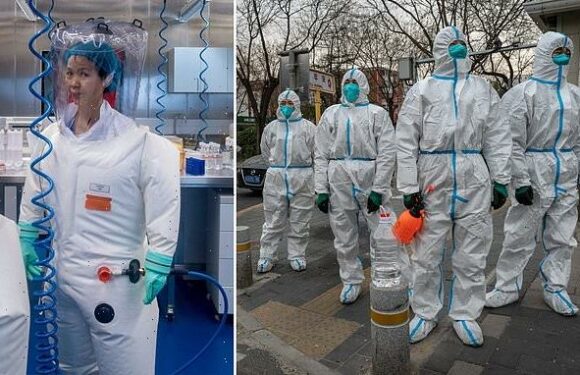 There has been suppression of the truth over origin of covid in China