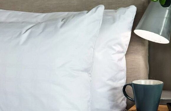 This 'luxurious' goose down pillow is on SALE on Amazon