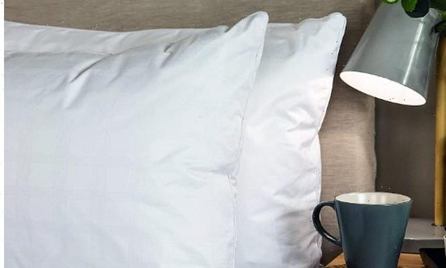 This 'luxurious' goose down pillow is on SALE on Amazon