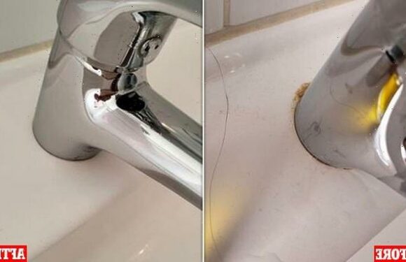 Tomato ketchup can be used as a stain remover – and the results show