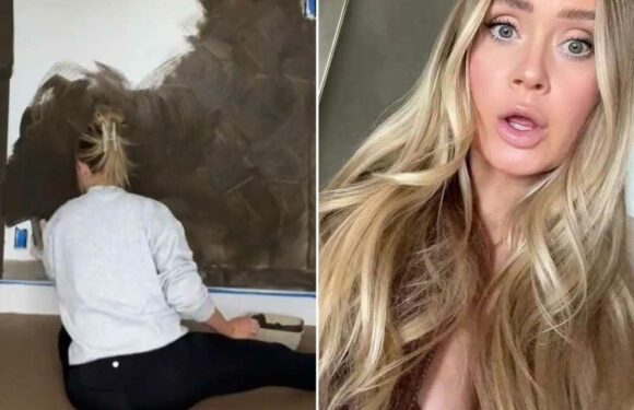 Trolls slam me for painting my daughter’s nursery ‘prison cell brown’ – but I’m a designer & know what I’m doing | The Sun