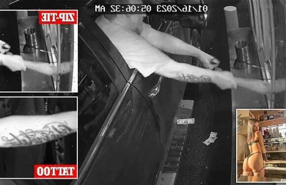 Truck driver is arrested after trying to abduct bikini-barista