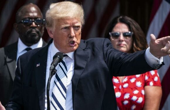 Trump allowed back on Facebook, Instagram accounts with ‘guard rails’