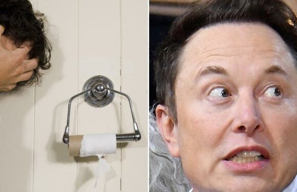 Twitter staff ‘begging Elon Musk for toilet paper’ after mogul sacks cleaners