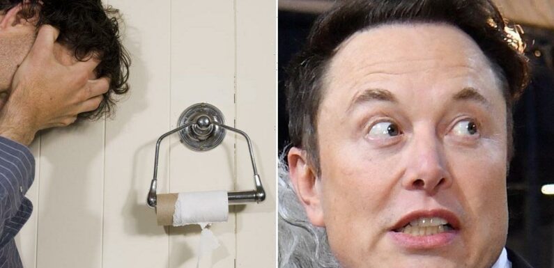 Twitter staff ‘begging Elon Musk for toilet paper’ after mogul sacks cleaners