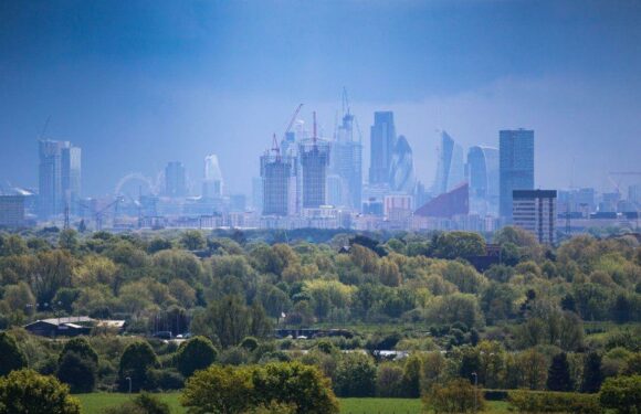 Two-thirds of city dwellers wish there was more greenery in their area