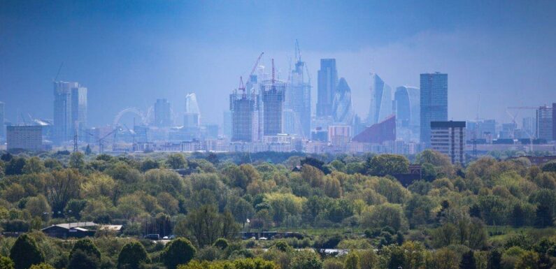 Two-thirds of city dwellers wish there was more greenery in their area