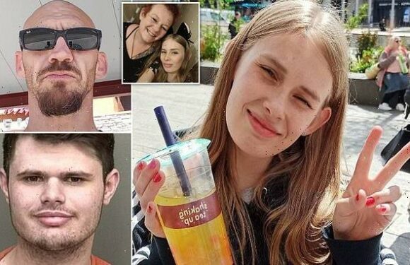 UK teenager killed herself after being charged with terror offences